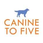 canine to five